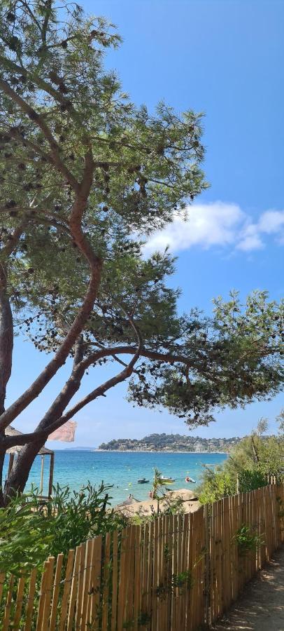 Le Tamaya Plage Charmant T2 En Rez De Jardin A 2 Pas D Une Belle Plage De Toutes Commodites Et Centre Ville Port Cavalaire-sur-Mer Exteriör bild